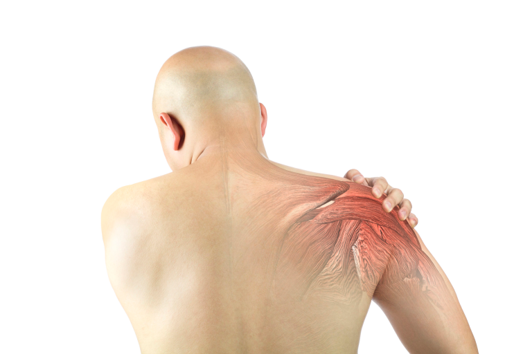 Supraspinatus Tendonu Yırtığı Tedavisi: Ne Kadar Sürede İyileşir?